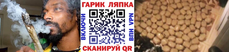закладка  Выкса  OMG ТОР  Гашиш Изолятор 