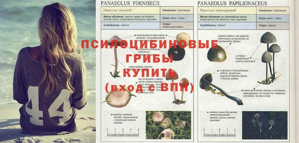 метадон Белокуриха