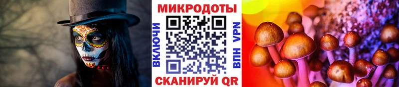Псилоцибиновые грибы прущие грибы  Выкса 